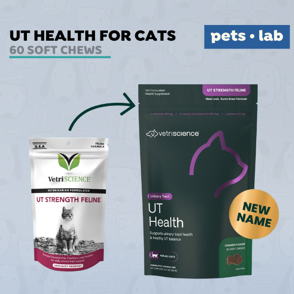 Photo inspiration: Jual Vetriscience Ut Strength Feline Cranberry Extract D Mannose Photo Inspiration