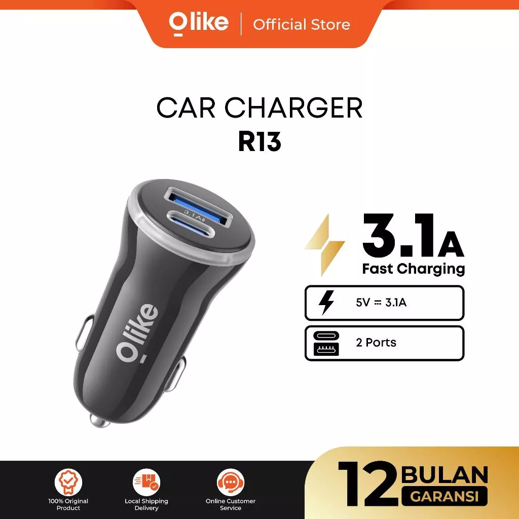 Car Charger Dual Port USB A & Type C Fast Charging 3.1A! Olike R13