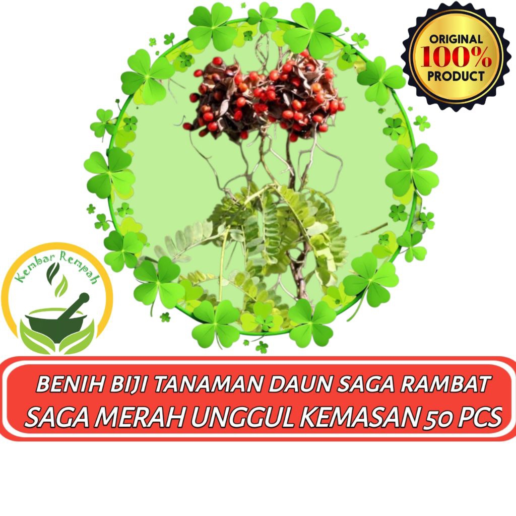 Jual Paket Hemat 50 Pcs Benih Biji Saga Rambat Bibit Tanaman Saga Merah ...