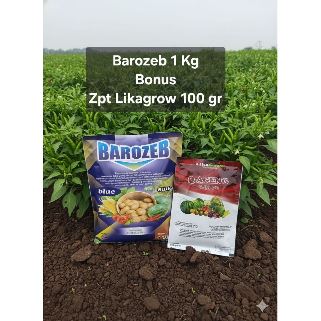 Jual Barozeb biru 1 kg bonus likagrow 100 gram | Shopee Indonesia