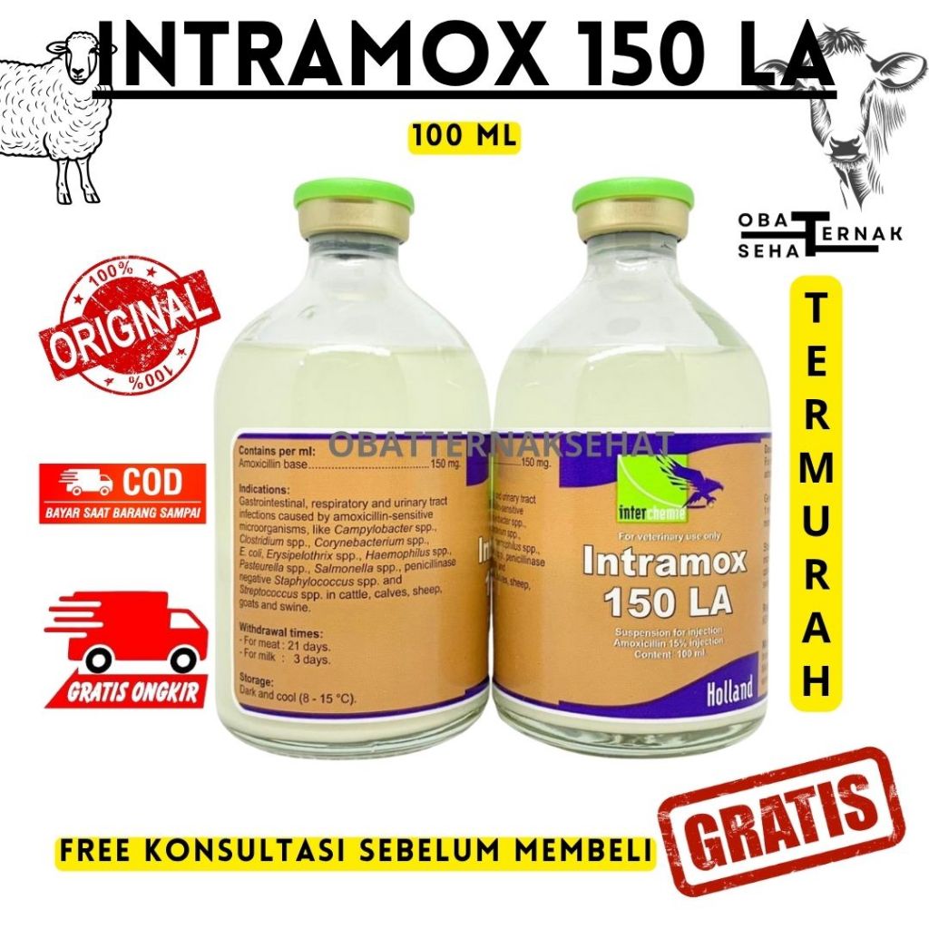 Jual INTRAMOX LA 150 ORANGE 100 ml - Obat Hewan Amoxyciline Long Acting ...