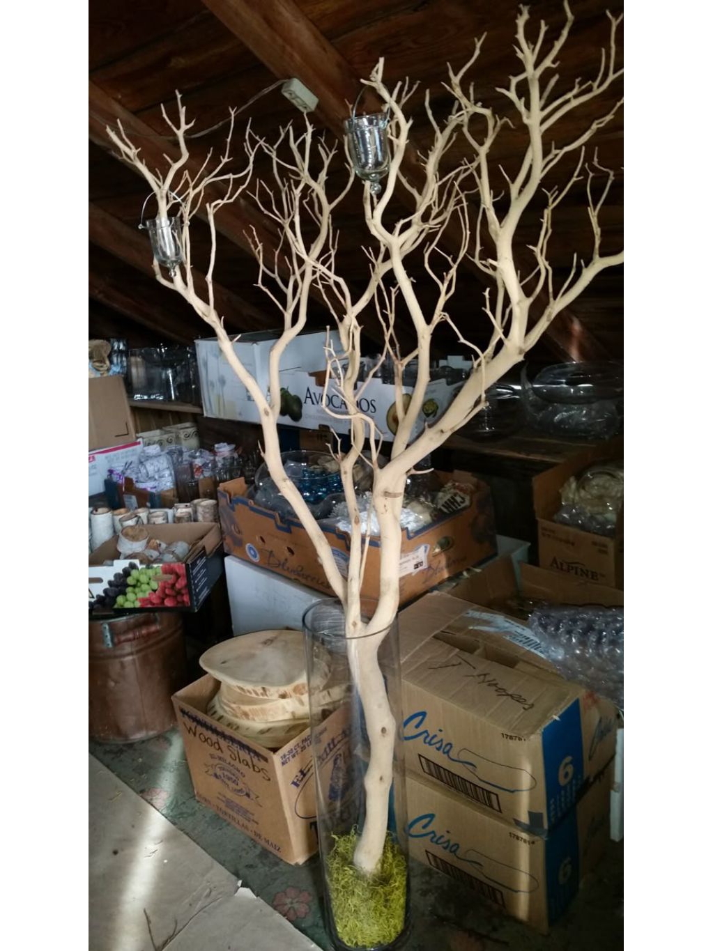 Jual Ranting Pohon Bercabang Rimbun panjang 2m Kayu Dekorasi Ranting ...