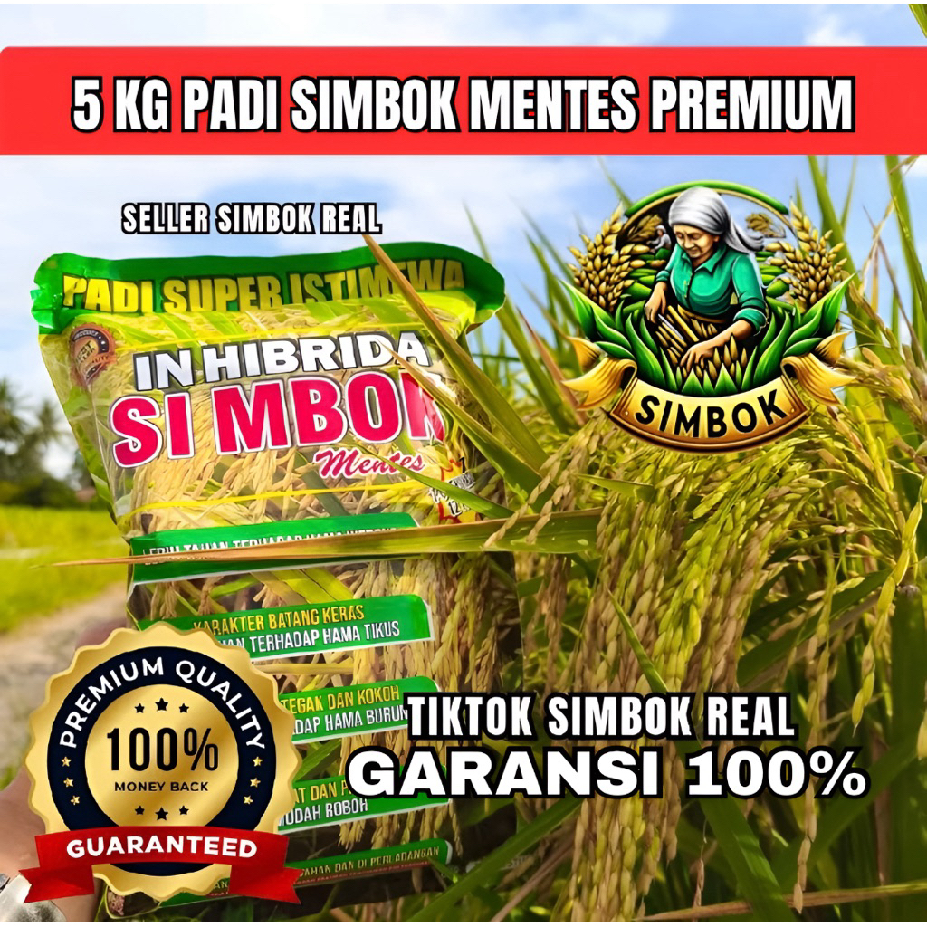 Jual 5 KG PADI SIMBOK MENTES PREMIUM Masa Panen 95–110 HST ...