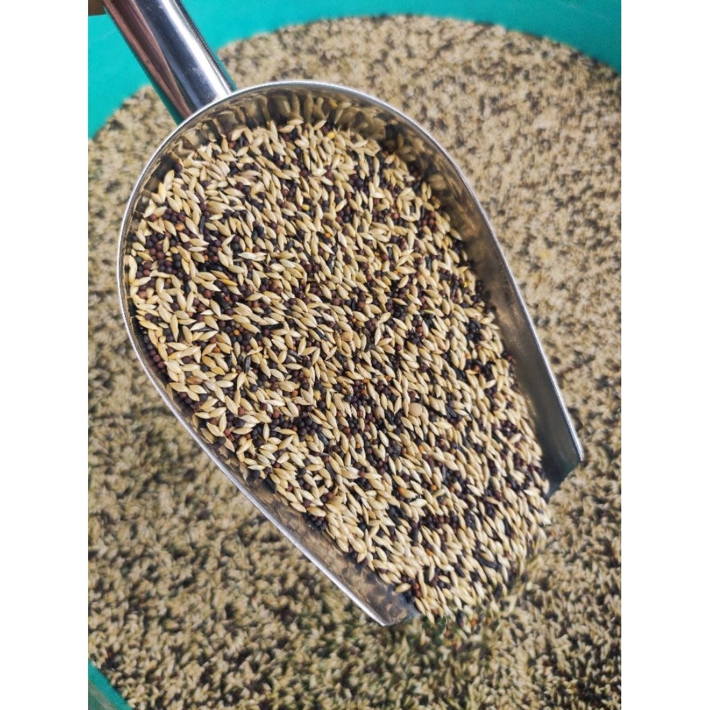 Jual Pakan racikan Breeding kenari Rojo koyo 1kg | Shopee Indonesia