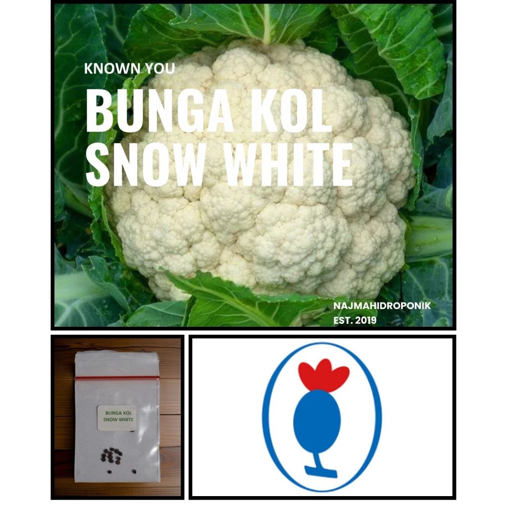 Jual 15 Butir Benih Sayuran Bunga Kol Snow White Repacking (Known You ...