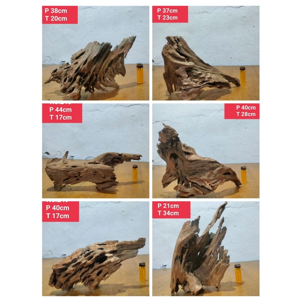 Jual kayu rentek gunung drift Wood kayu aquascape aquarium 241 SD 250 ...