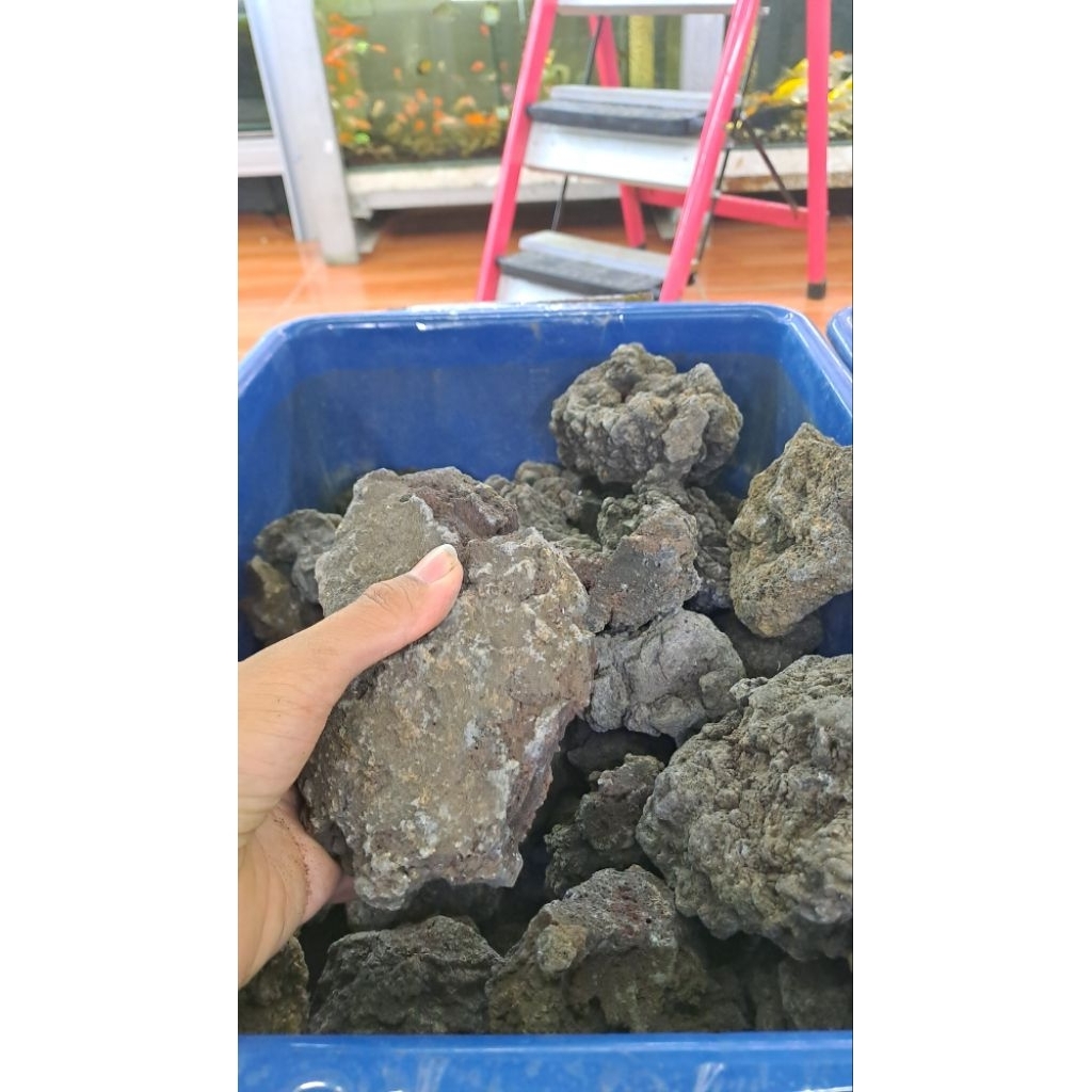 Jual 1 KG BATU LAVA ROCK HITAM RANDOM | Shopee Indonesia
