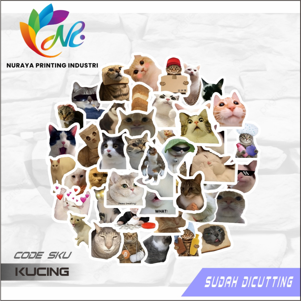 Jual Sticker Pack Meme Kucing Aesthetic Paper Vinyl Waterproof Dekorasi ...
