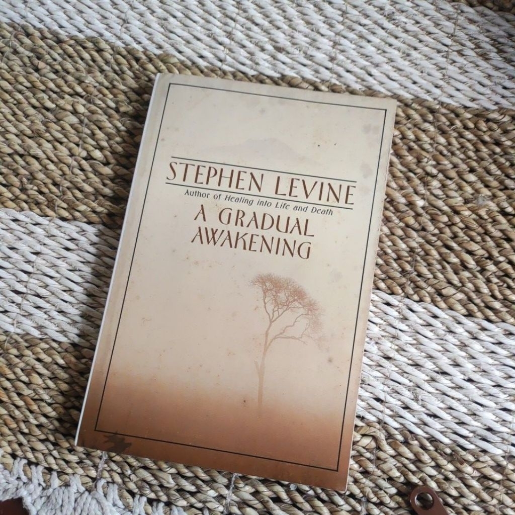 Jual A Gradual Awakening - Stephen Levine Original English | Shopee ...