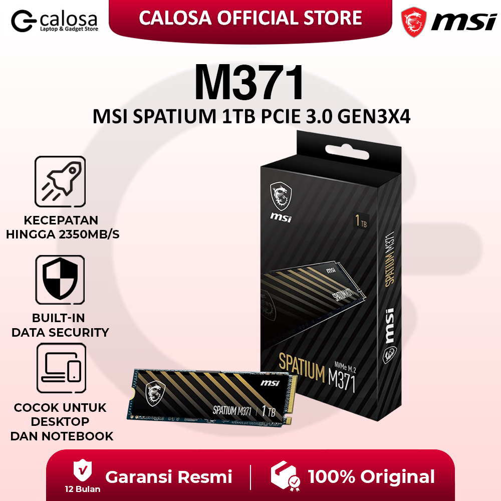 Jual MSI Spatium M371 M.2 NVMe 1 TB PCIe Gen3x4 | SSD M2 NVMe 1TB ...