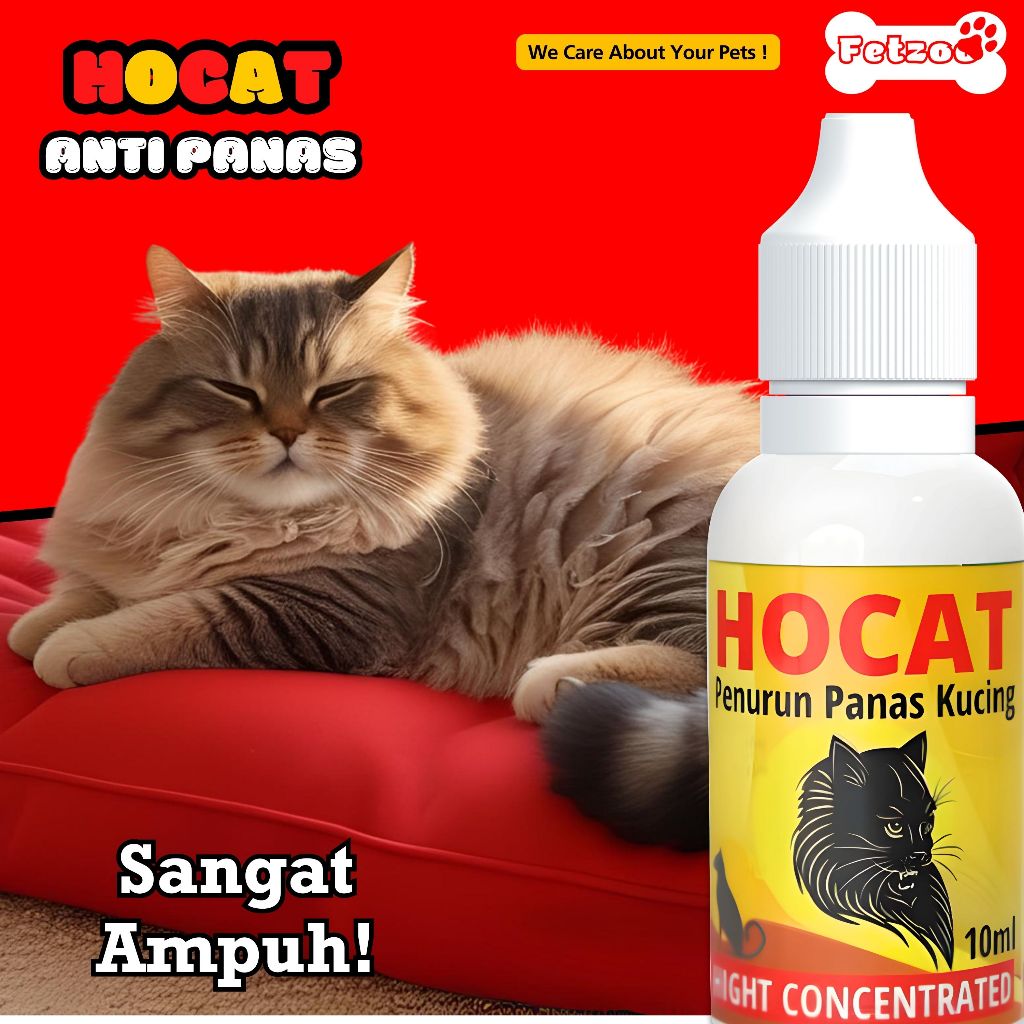 Jual Penurun Panas Kucing HOCAT 10 ml High Concentrate FETZOO | Shopee ...
