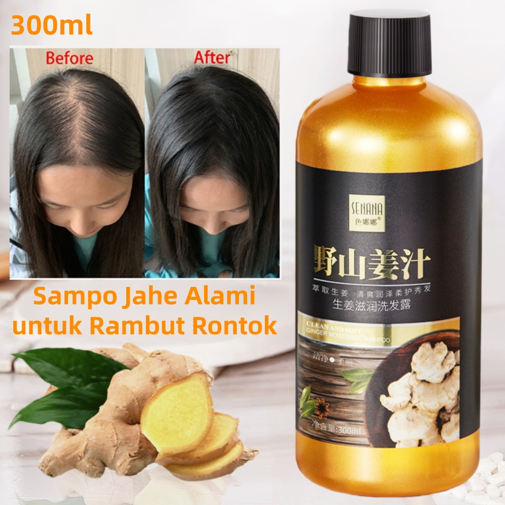 Jual Shampo Penumbuh Rambut Cepat Ginger Shampoo 300ml pertumbuhan ...