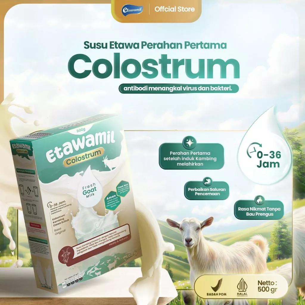 Susu Kambing Etawa Kolostrum