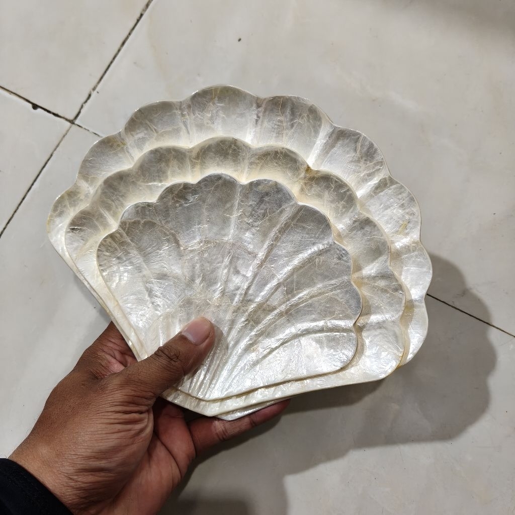 Jual shell plate white set 3 piring kerang putih set model kipas ...