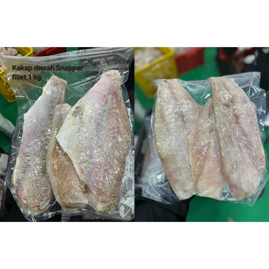 Jual skinless Kakap Merah Snapper Fillet 1kg - Segar Setiap Hari, Halal ...
