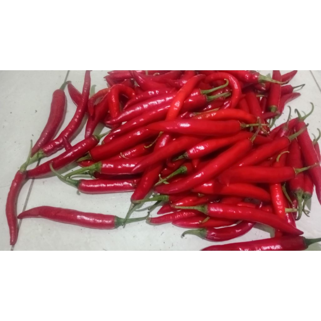 Jual Cabe merah Cabai merah besar segar fresh 1kg | Shopee Indonesia
