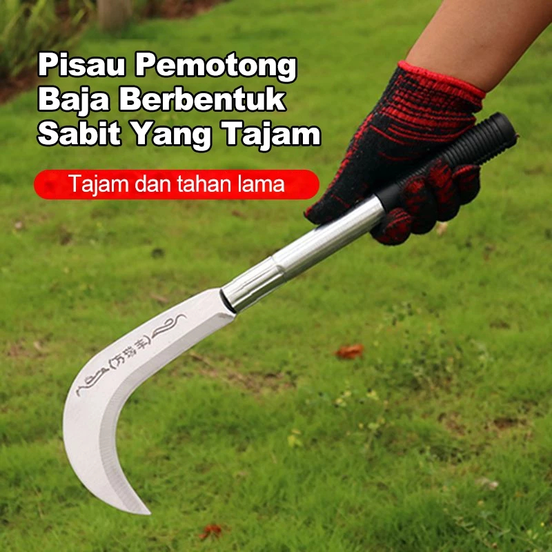 Jual 60/80/100cm Sabit Arit Rumput Baja Asli /Pemangkas Rumput ...