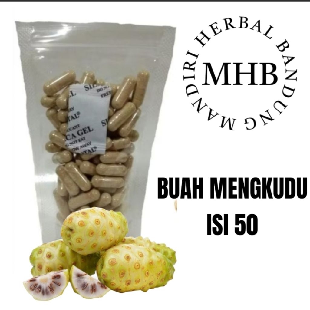 KAPSUL HERBAL ALAMI BUAH MENGKUDU ISI 50 MEMBANTU MENURUNKAN DARAH TINGGI