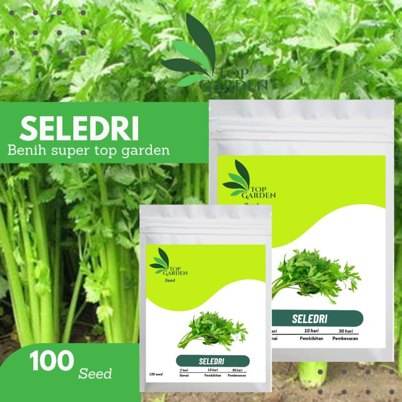 TOP GARDEN BIBIT BENIH SAYURAN SELEDRI BIJI TANAMAN SELEDRI