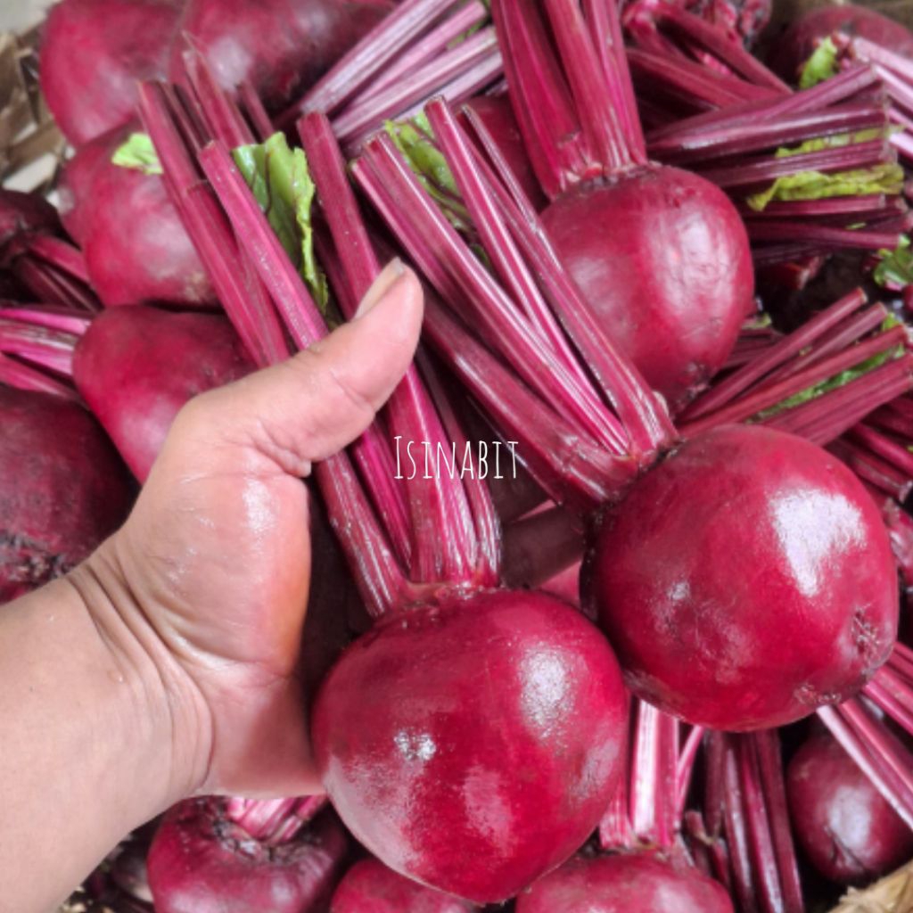 Jual Buah Bit/Beet Root Segar 1Kg | Shopee Indonesia