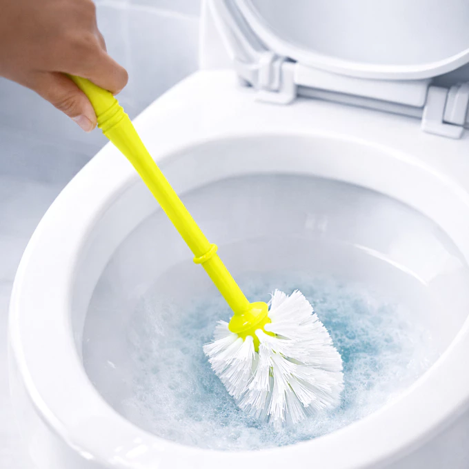 Rekomendasi Homecare Round Toilet Brush 35cm: Pilihan Terbaik untuk WC Bersih