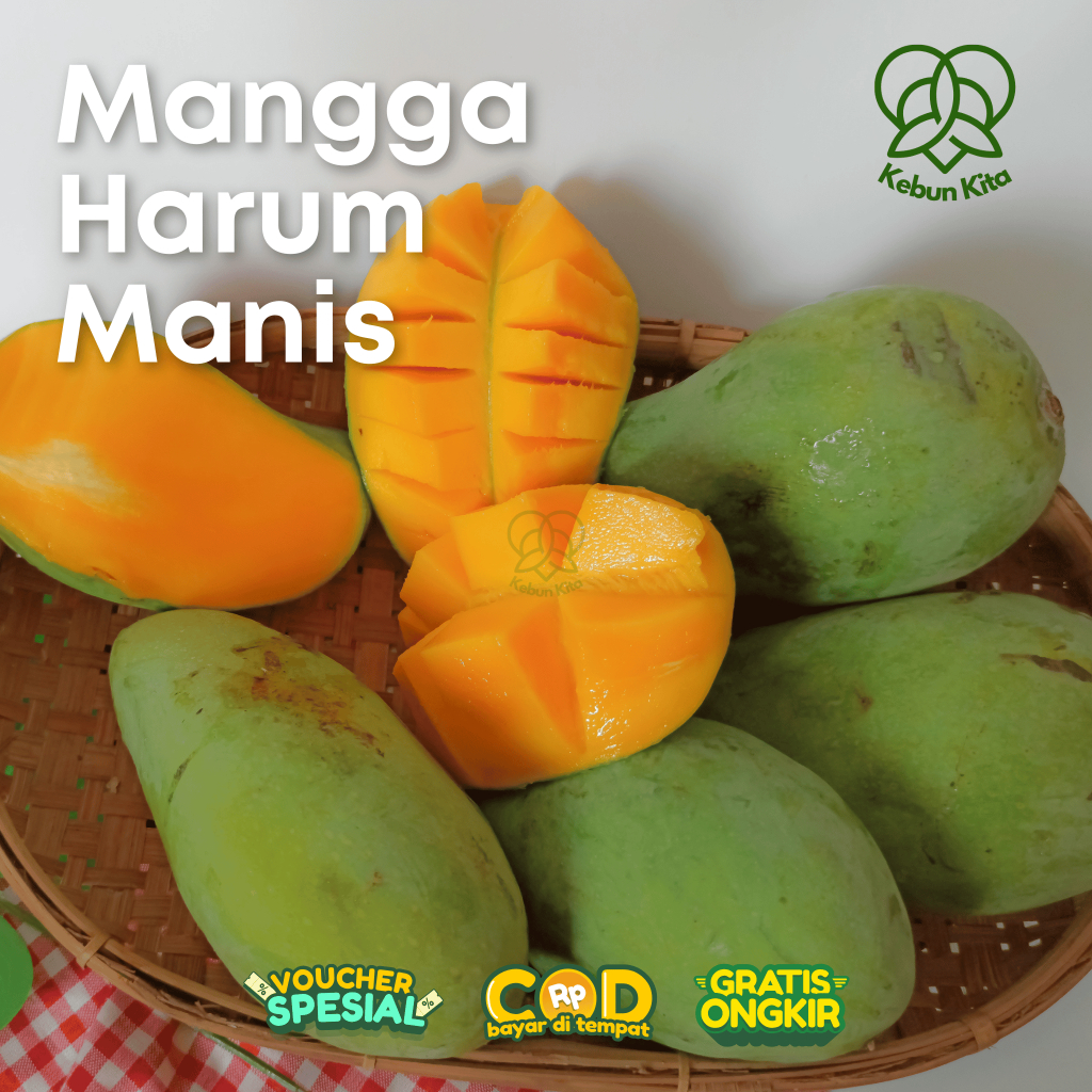 Jual Kebun Kita - MANGGA HARUM MANIS FRESH PREMIUM | Matang Pohon ...