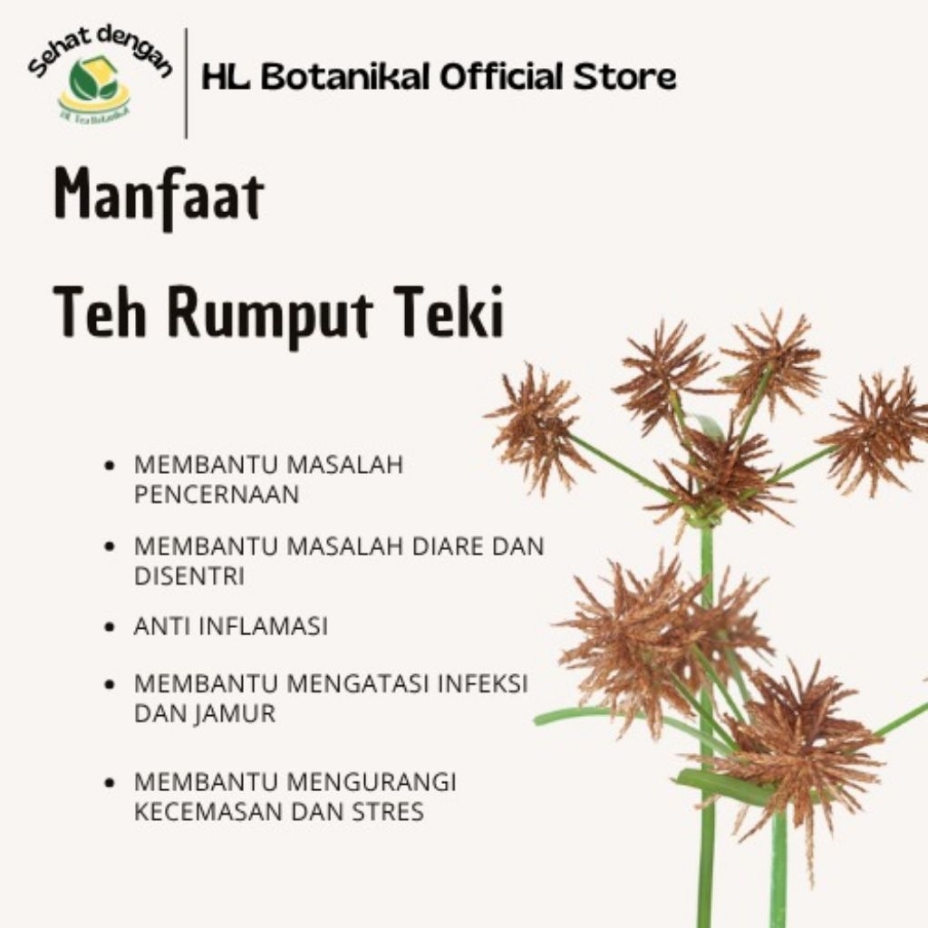 Jual Teh Daun Rumput Teki | Isi 20 Tea Bag | Shopee Indonesia