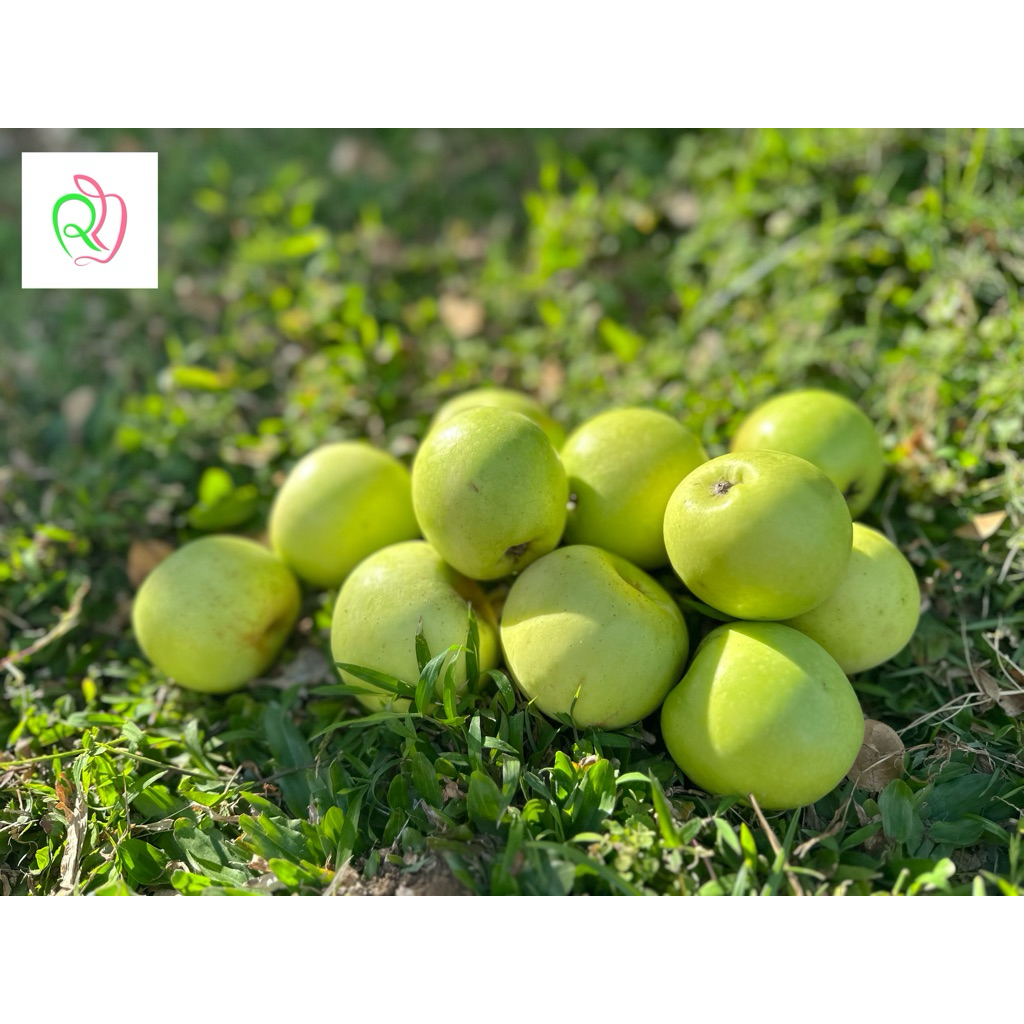 Jual Apel Manalagi Malang baby 1kg 24-29/ Apel Batu / Apel Malang ...