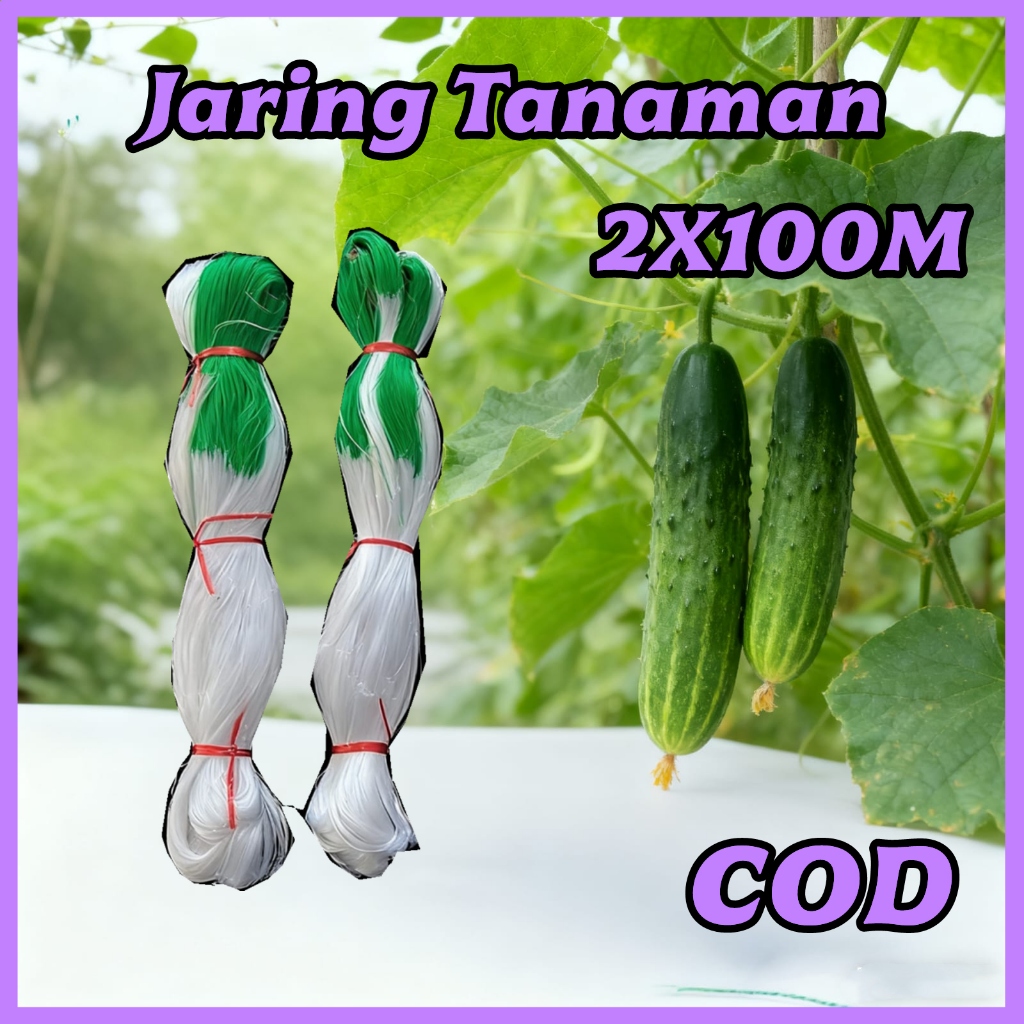 2M X 100M Jaring Net Rambatan Tanaman Kebun Trellis Netting Green Net Farm Climbing Net Untuk Sayuran Alat Berkebun Clematis