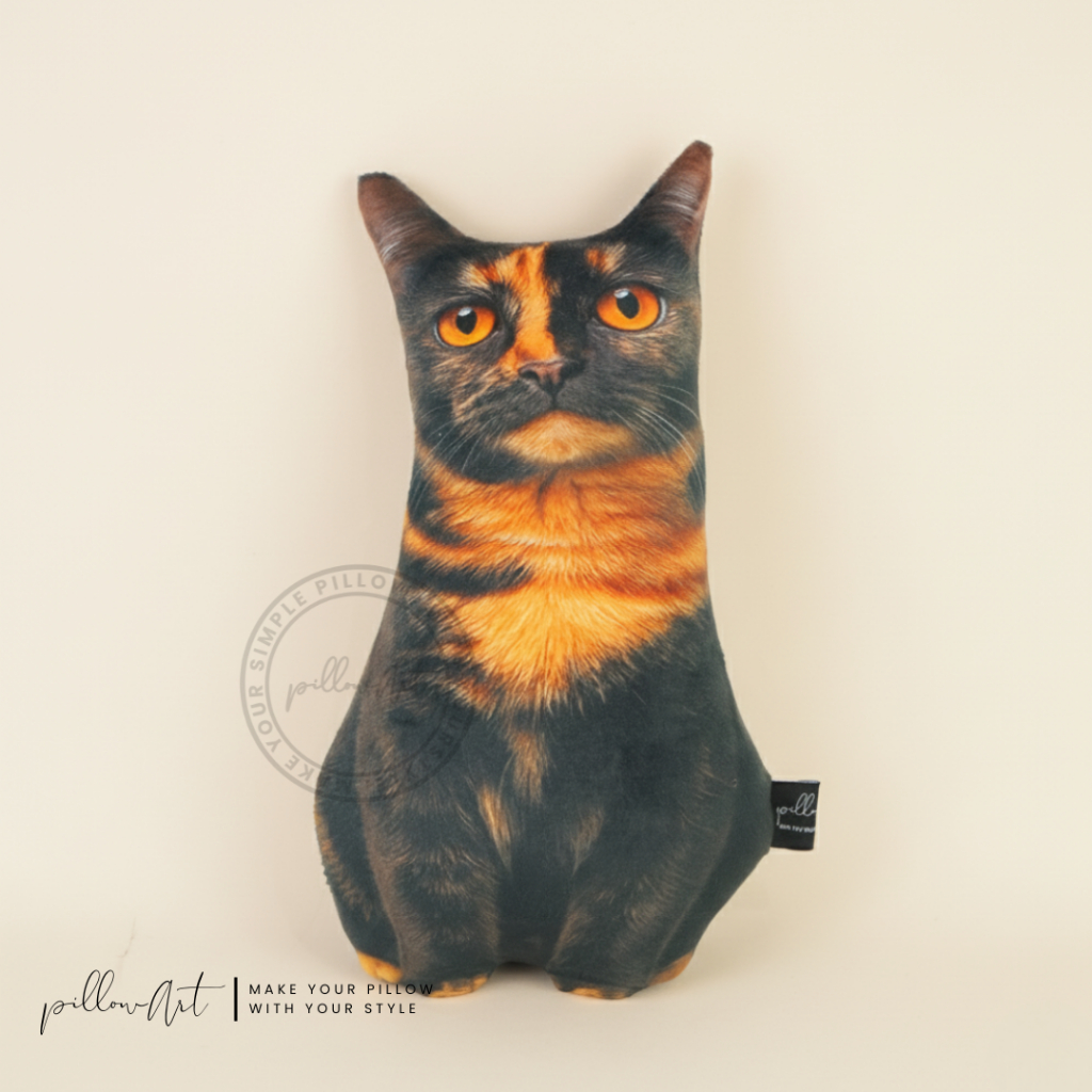 Kucing Tortie
