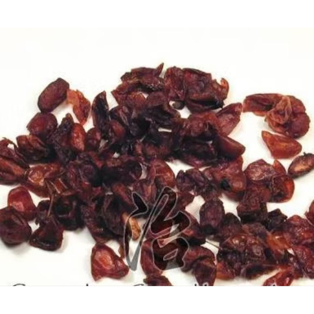 Jual 10 G 50 GR 100 GRAM SHAN ZHU YU SHAN ZAO ROU CORNUS FRUIT DOGWOOD ...
