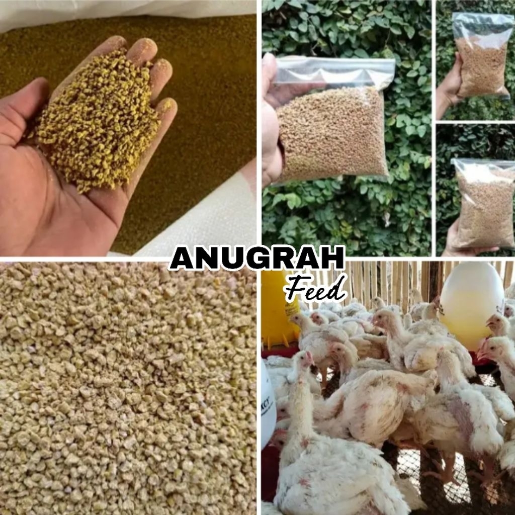 Jual Pur Ayam Pedaging Protein Tinggi ANUGRAH FEED | Shopee Indonesia