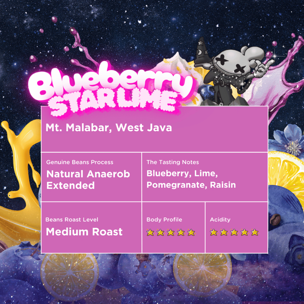 Product image Blueberry Starlime Biji Kopi Arabika Roasted Coffee Bean BLACK POTION 1