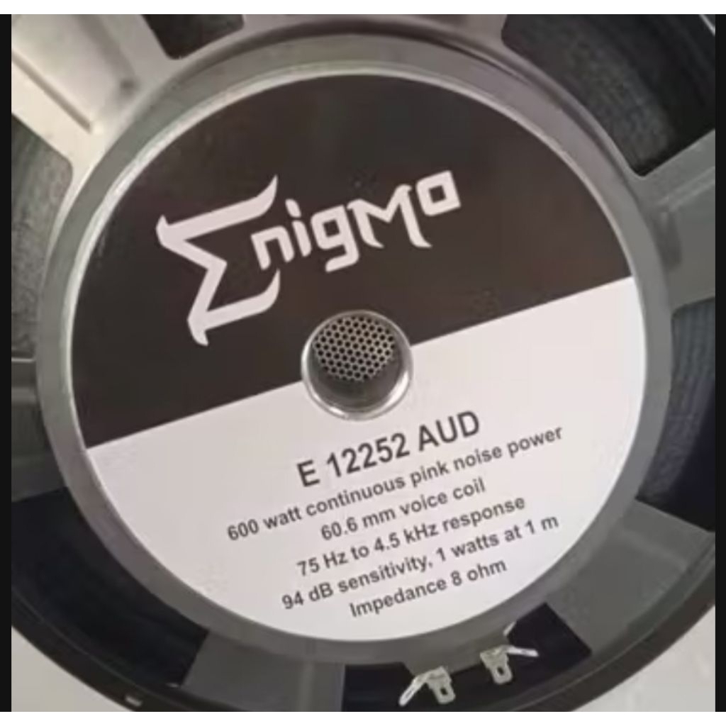 Jual SPEAKER 12 INCH ENIGMA 12252 AUD | Shopee Indonesia