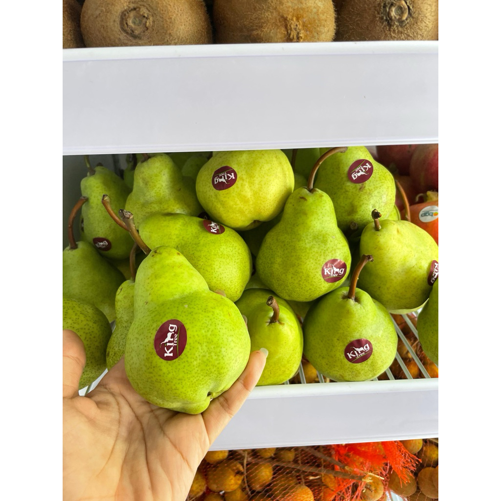 Jual pear packham 1kg | Shopee Indonesia