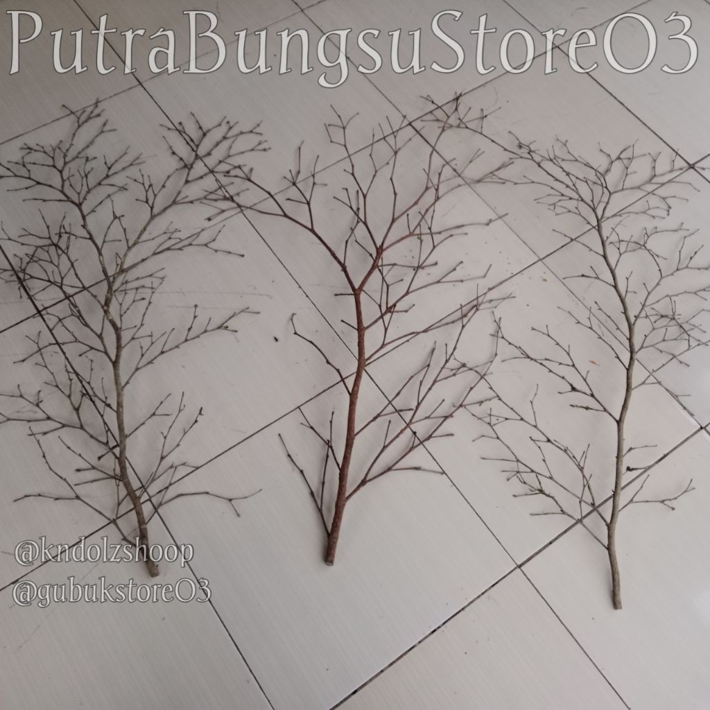 Jual RANTING KAYU POHON DEKORASI TINGGI 100 CM | Shopee Indonesia