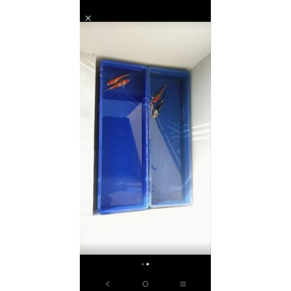 Jual box kontainer rabbit no 6688 bekas/seconds ukuran 100x33x20, box ...