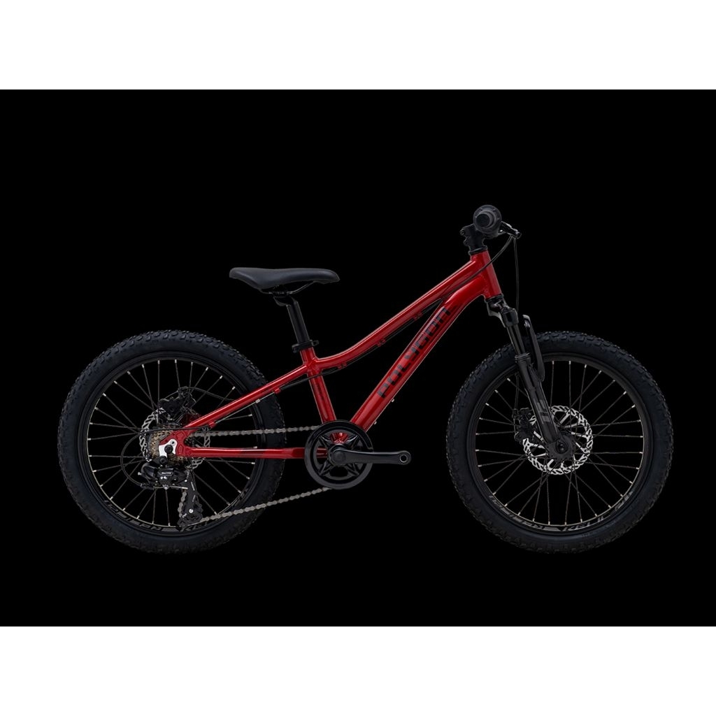 Jual Sepeda Gunung 20 Inch Polygon Relic | Shopee Indonesia