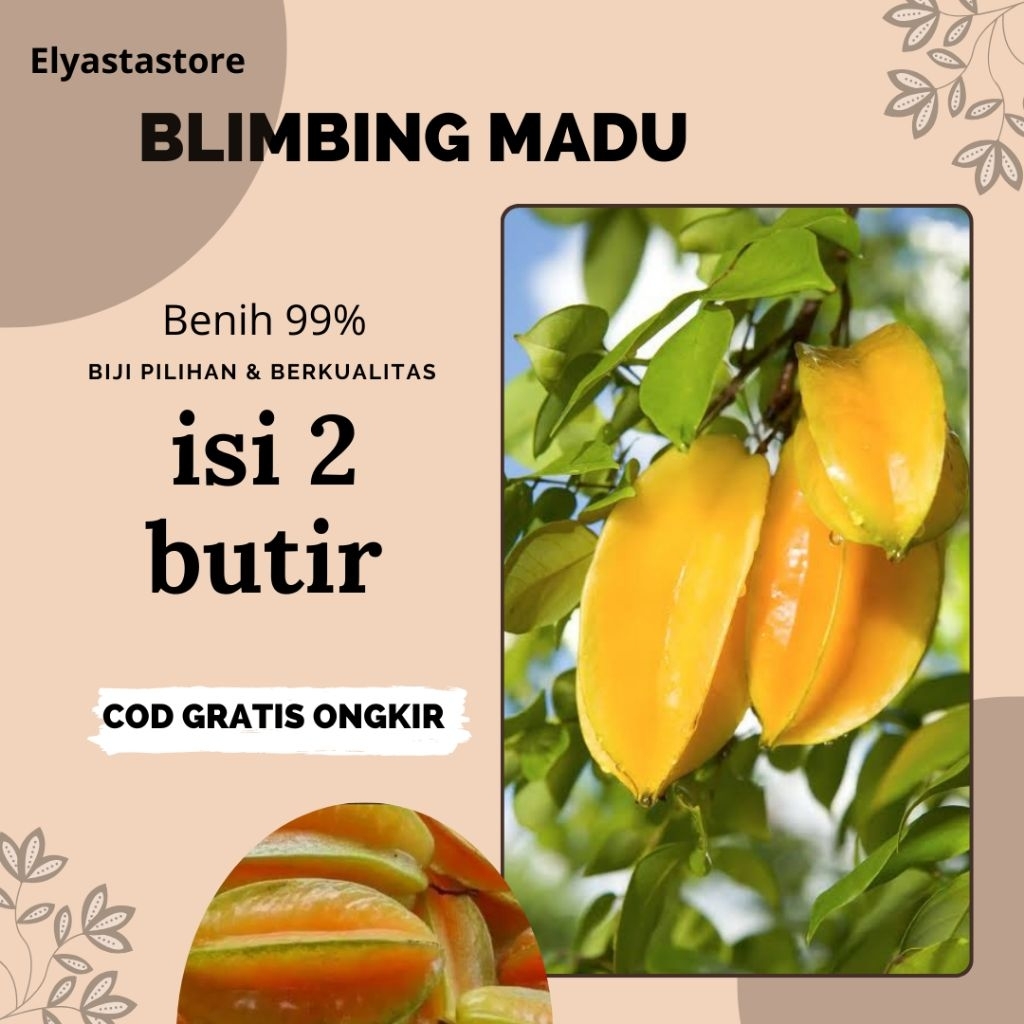Bibit Biji Benih Tanaman Buah Blimbing Madu 5 butir