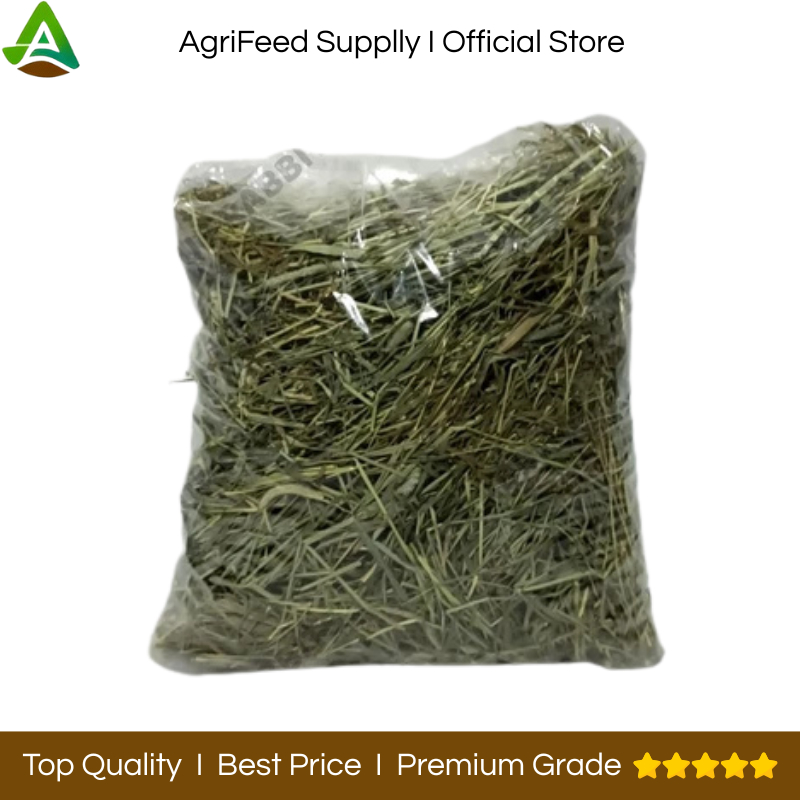 Jual Rumput Timoty Hay Import Premium Quality 150/300 Gram - Rumput Hay ...