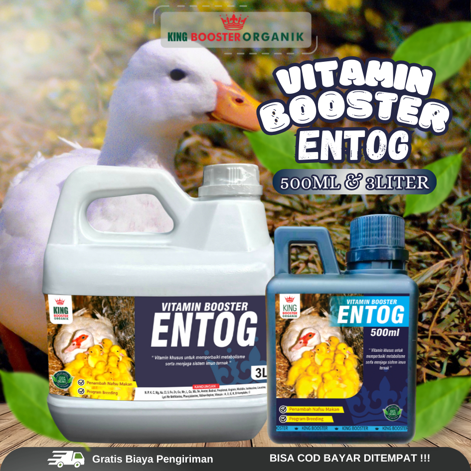 Jual Vitamin Penggemuk Unggas Entog / Mentok 500ml , Penambah Berat ...