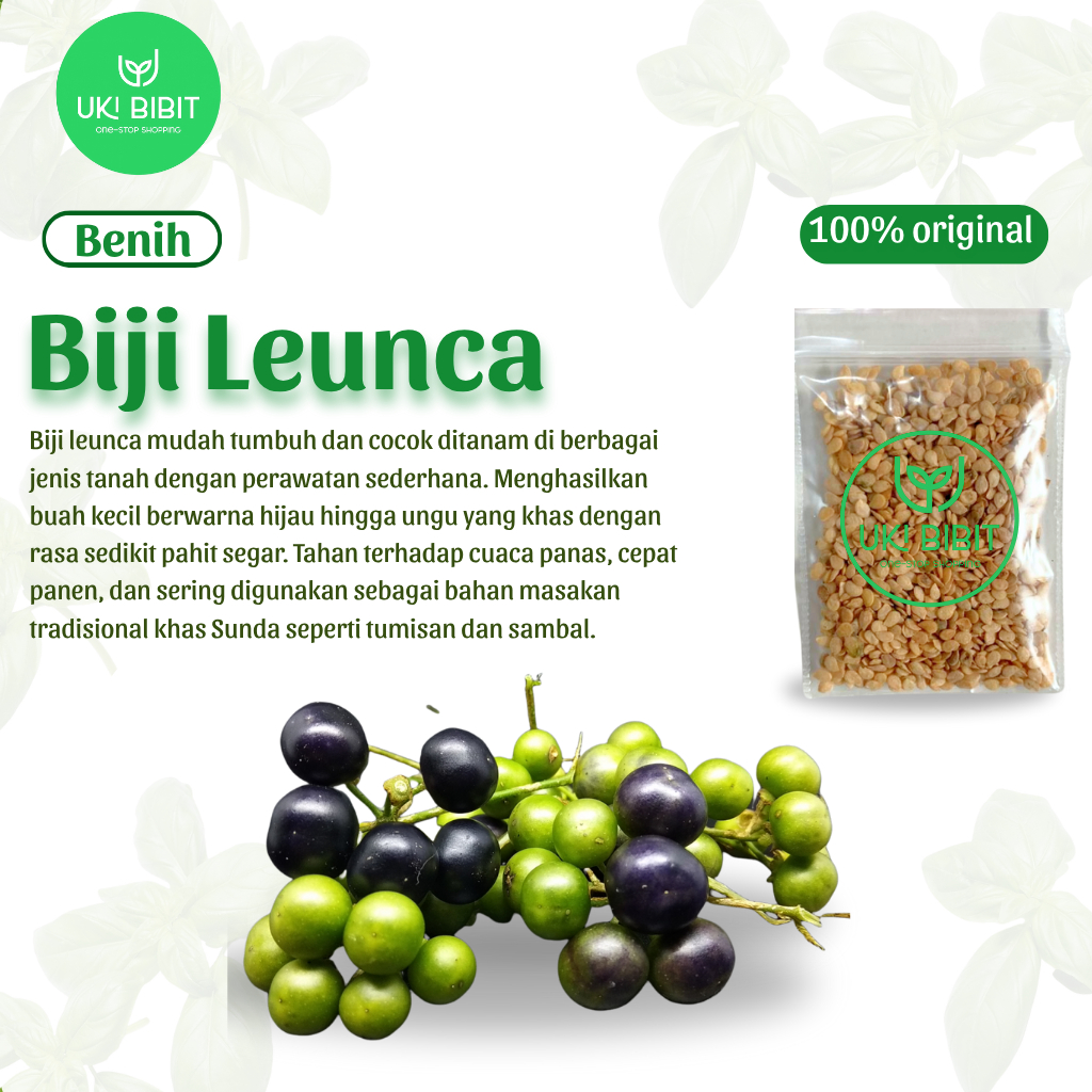 Jual ( 10 Gram ) Benih Biji Leunca | Ranti | Lenca | Lunca | Shopee ...