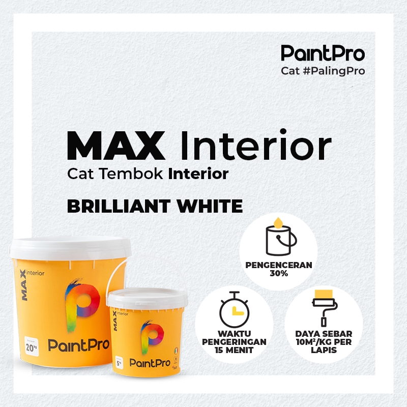 Toko Online PaintPro Official Store | Shopee Indonesia