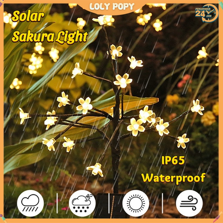Jual Lampu Solar Bunga Sakura - Lampu Hias Taman IP65 Tahan Air dengan ...