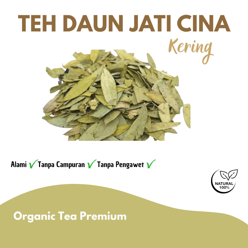 Teh Daun Jati Cina Daun Jati Obat Diet Pelangsing