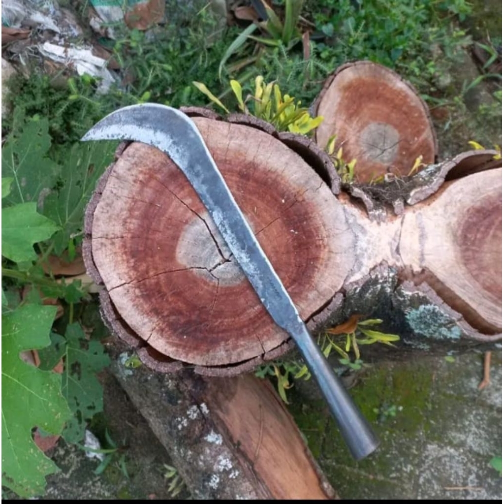Jual mata pisau ndoret memotong ranting dan potong bambu pajang 45 cm ...