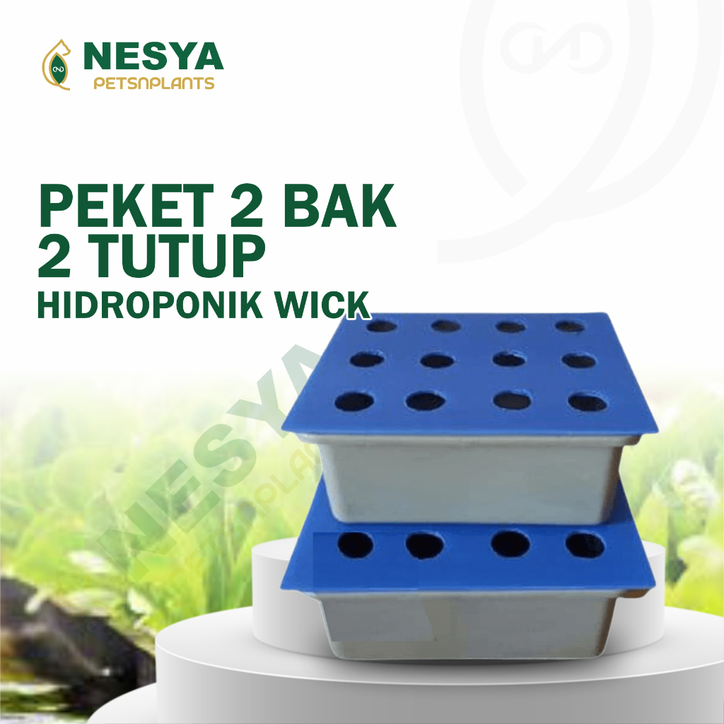 Paket 2 Bak Hidroponik dan Tutup Impraboard 9 Lubang dan 12 Lubang