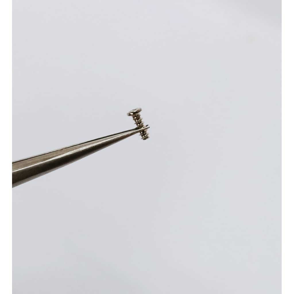 Jual Baut Jam Tangan Baut Tutup Belakang Jam Tangan Tipe Sekrup Ulir ...