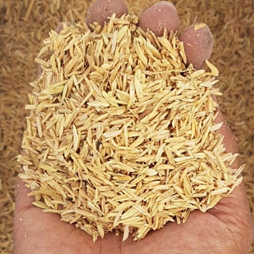 Jual SEKAM PADI 1KG COCOK UTUK TANAMAN DAN ALAS PETERNAKAN | Shopee ...