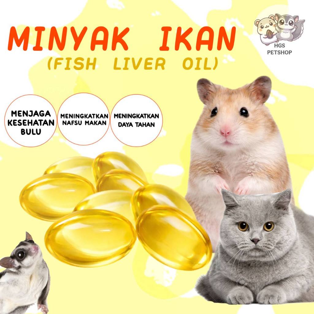 Jual Hamster Surabaya Terdekat